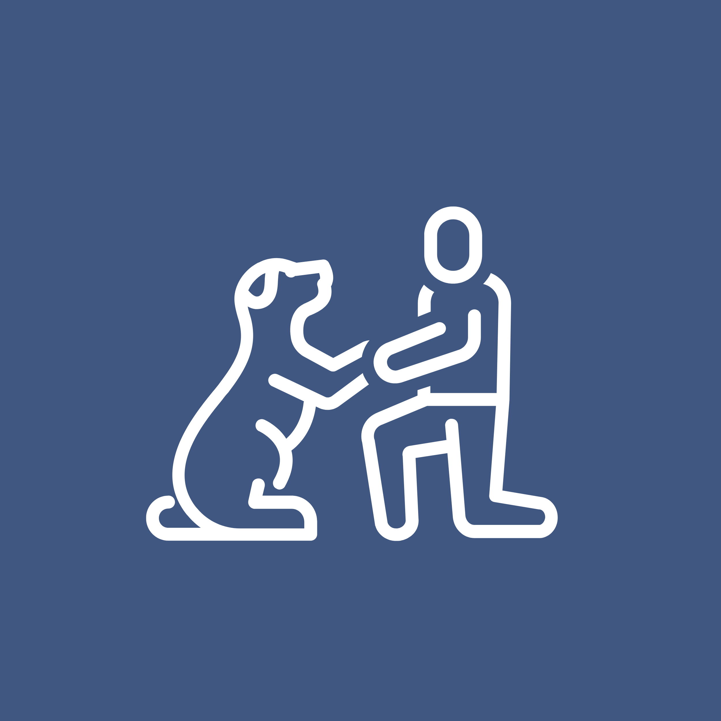 Instructor working with a dog